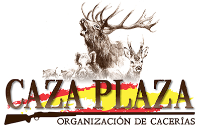 Caza Plaza