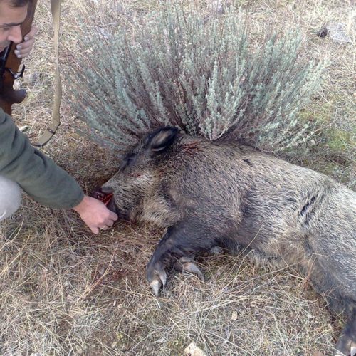 Caza Extremadura