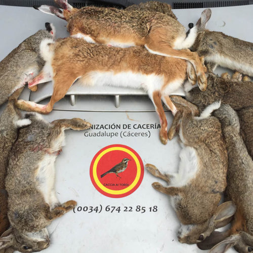 Caza España